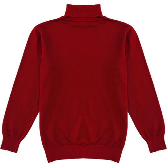 Dark Red Mens Long Sleeve Knit Turtleneck Sweater