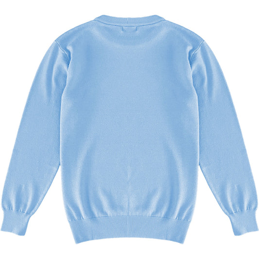 Light Baby Blue Mens Knit Classic Crewneck Sweater Back