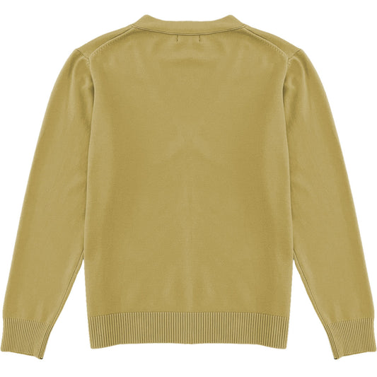 Light Camel Brown Mens V-Neck Button Down Cardigan Sweater Back