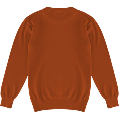 Burnt Orange Mens Knit Classic Crewneck Sweater Back