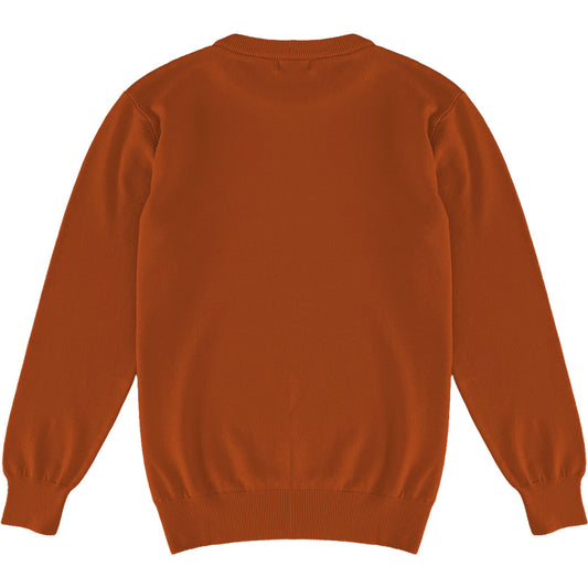 Burnt Orange Mens Knit Classic Crewneck Sweater Back