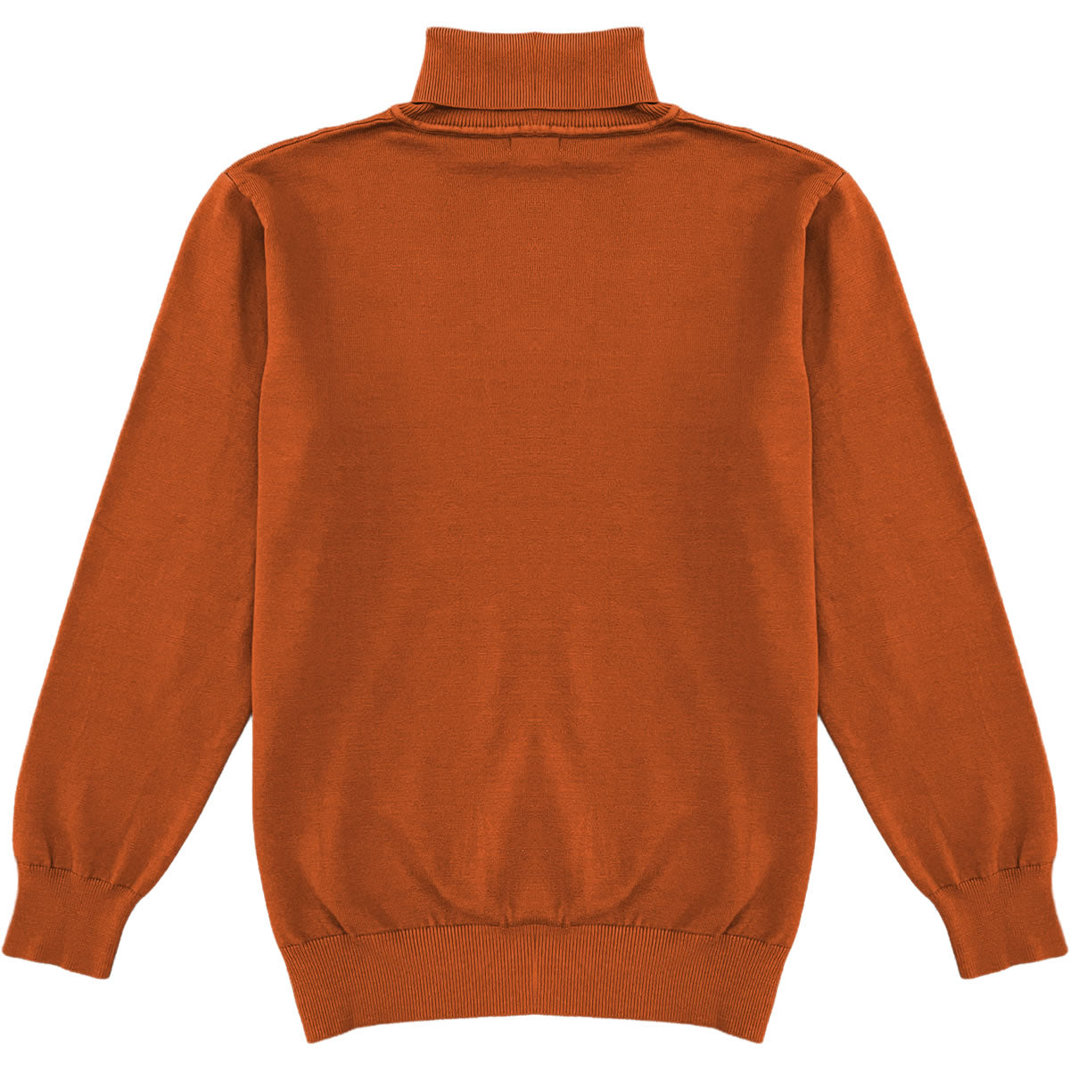 Burnt Orange Mens Long Sleeve Knit Turtleneck Sweater Back