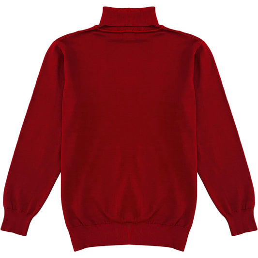 Dark Red Mens Long Sleeve Knit Turtleneck Sweater