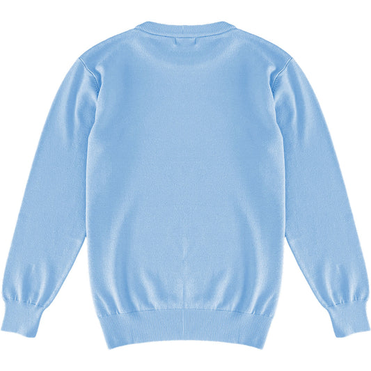 Light Baby Blue Mens Knit Classic Crewneck Sweater Back